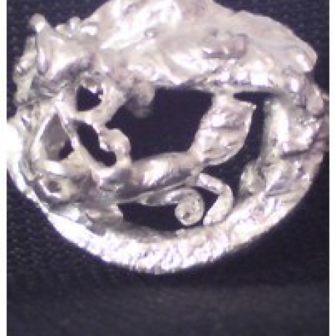 “de salemander” zilver